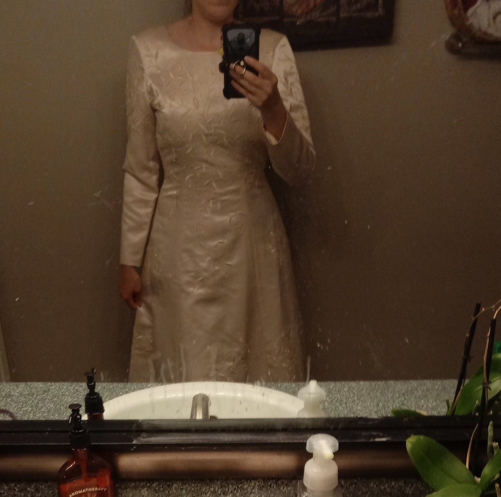 Champagne Sleeved Dress